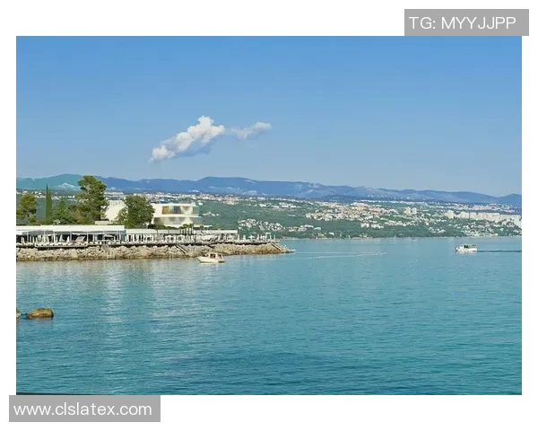 法国对克罗地亚亚指分析及投注建议探讨